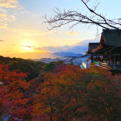 清水寺から眺める夕日と紅葉の絶景コラボレーションともみじの永観堂「紅葉ライトアップ」メインイメージ