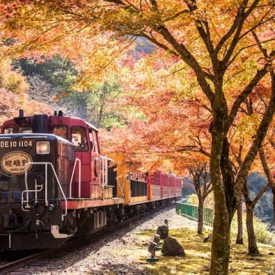 ２０名様限定！秋の嵐山を走る「嵯峨野トロッコ列車」と嵐山散策メインイメージ