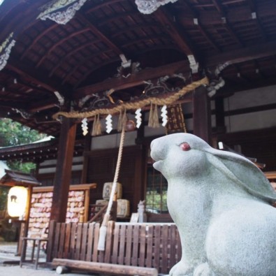 <全国旅行支援対象ツアー＞祝うさぎ年記念！！京都三大うさぎ神社巡りメインイメージ