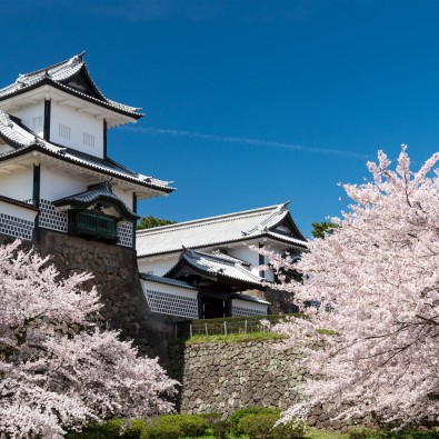 古都に咲き誇る「金沢城址公園」の桜と一春三度の衣替え一度は見たい！「兼六園」の菊桜メインイメージ