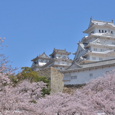 お城めぐりの旅～約１０００本の桜と天守閣・白壁に映える絶景！～世界遺産・国宝「姫路城」メインイメージ