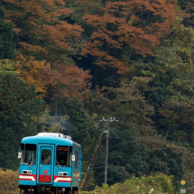 今年もやります、グルメ列車！！根尾川や紅葉の景色と山の幸を味わう贅沢「薬草列車」の旅！！メインイメージ