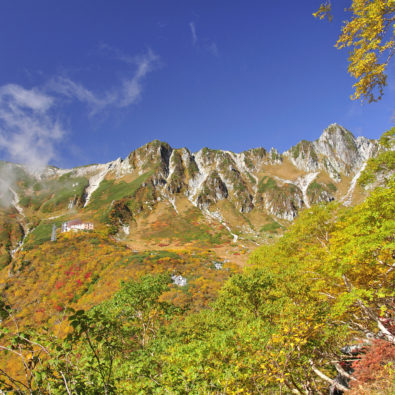 ２つの日本一の中央アルプス駒ヶ岳ロープウェイに乗って、幻想的な“三段紅葉”狩りを楽しもう！！メインイメージ