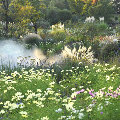 いよいよ最後！皆んなに愛された感謝のフィナーレ！日本屈指の美しい自然風庭園「ブルーボネット」と東海市のディ―プなスポットを巡る旅メインイメージ