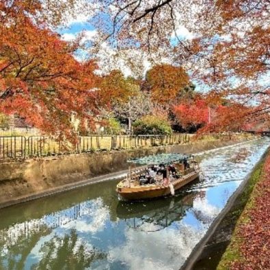 １８名様限定！秋の紅葉に彩られた京都びわ湖疏水を疏水船に乗って眺める贅沢な体験♡メインイメージ